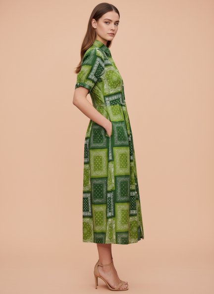 Rayon Printed Puff Sleeve A Line Shirt Dress