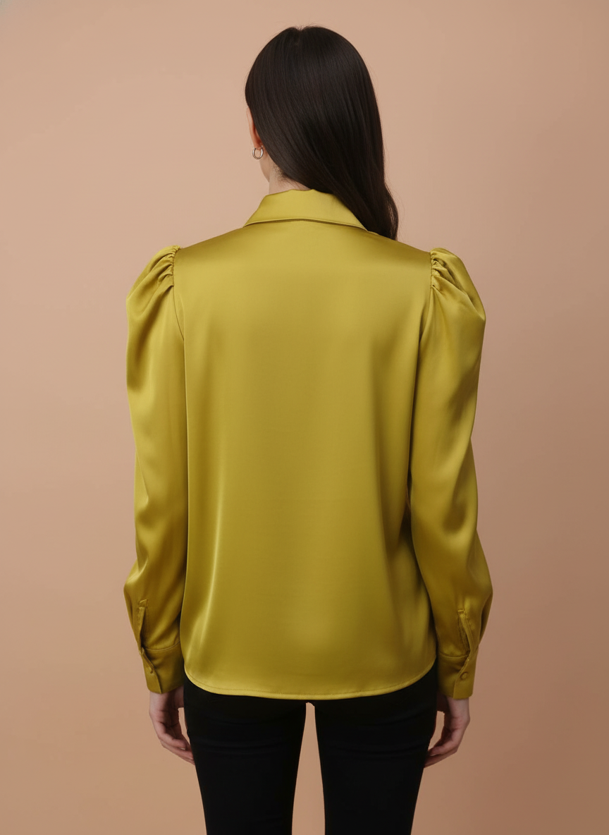 Women's Elegant Long Sleeve Formal Top