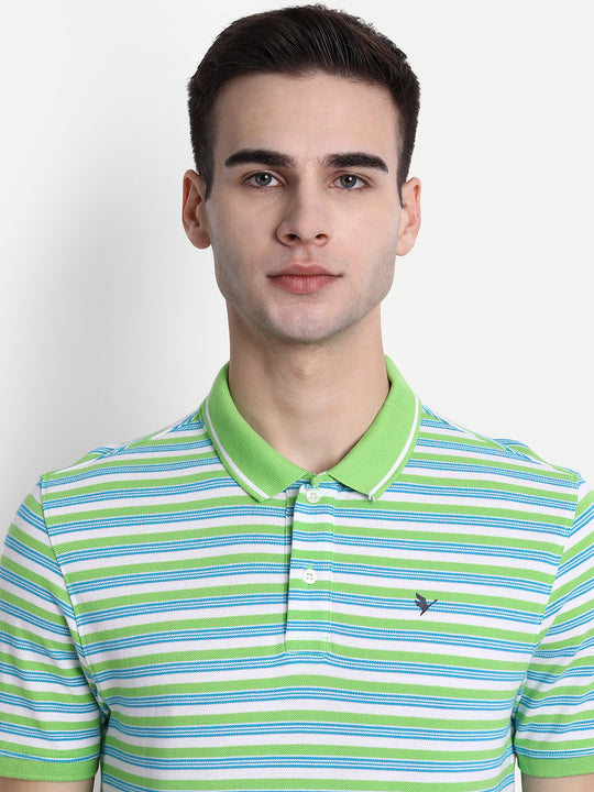 Premium Cotton Striped Half Sleeve Polo